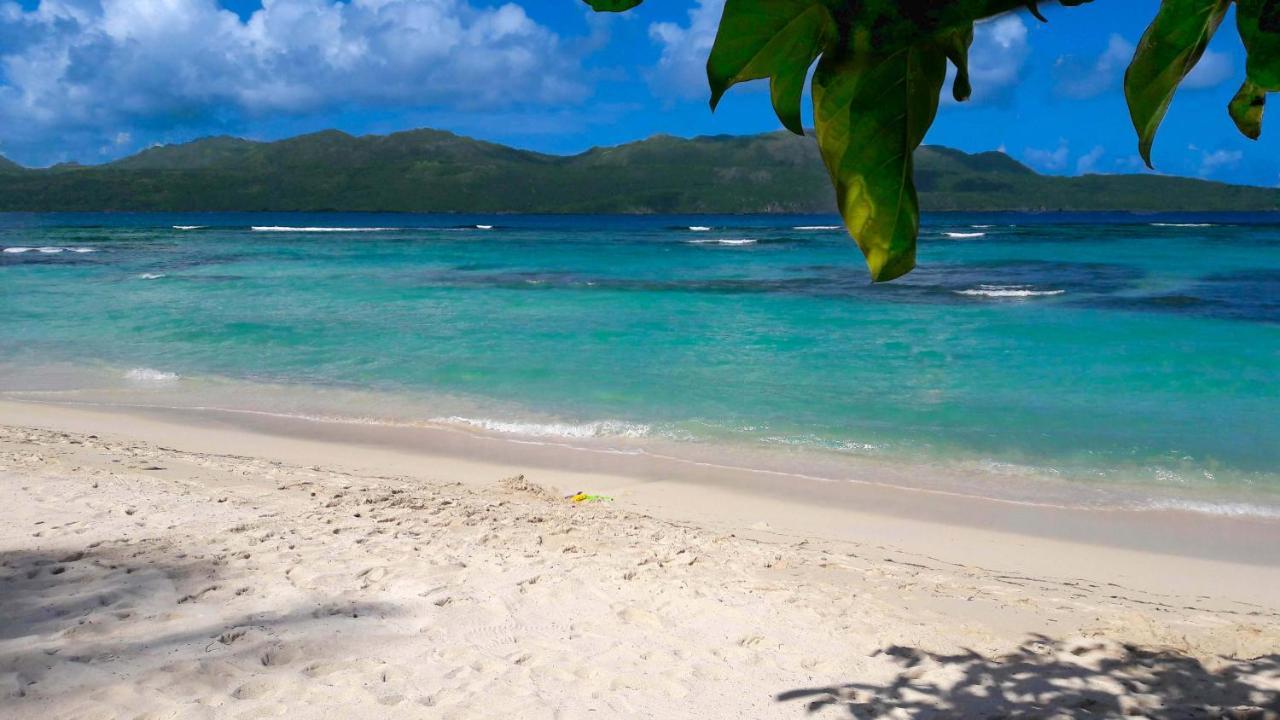 Jasmine La Playita - Ocean Front Daire Las Galeras Dış mekan fotoğraf